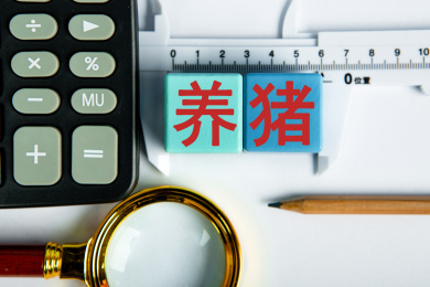 养猪概念