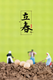 中国传统24节气之立春