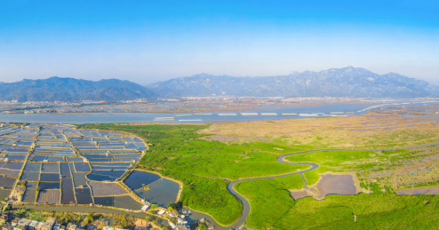 中国福建省漳州云霄县漳江口红树林自然保护区