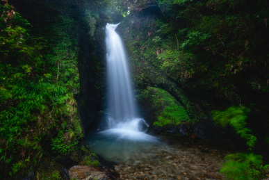 山间清泉