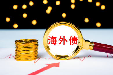 海外债概念