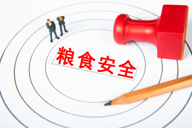 粮食安全概念