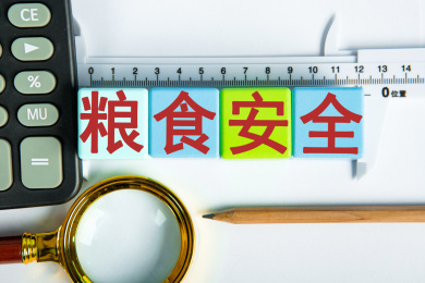 粮食安全概念