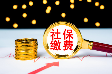 社保缴费概念
