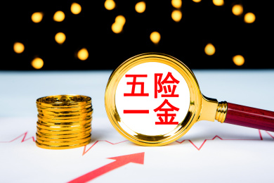 五险一金概念