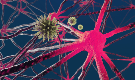 被病毒感染破坏的人体神经网络，神经肿瘤