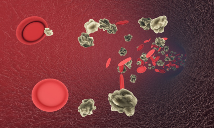 血管中的血小板与病毒细胞