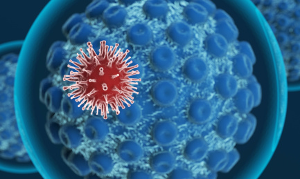 被病毒感染的细胞，病毒传播