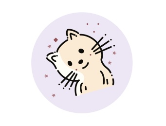 MBE小猫