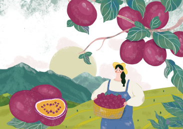 百香果西番莲插画包装设计水果