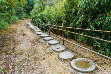 乡间度假区的休闲石板绿荫小道