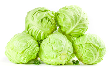 白底上的一堆绿甘蓝