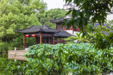 中国江苏苏州太仓南园夏季风光