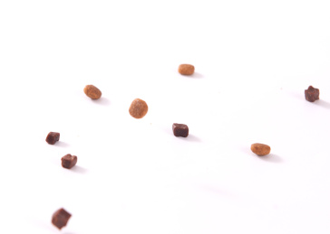 宠物食品猫粮狗粮