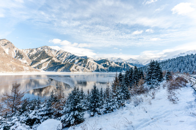 中国新疆天山天池森林