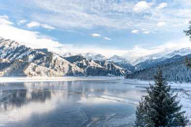 中国新疆天山天池森林