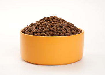 白色背景上摆放的宠物食品猫粮狗粮