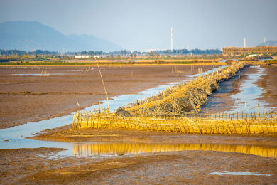中国广东江门市银湖湾滨海新区湿地自然风光