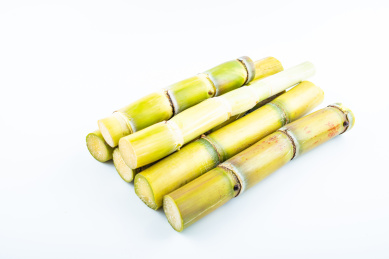 白背景上的新鲜黄皮甘蔗