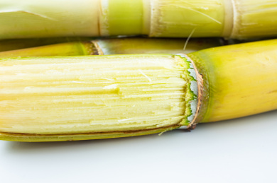 新鲜黄皮甘蔗特写