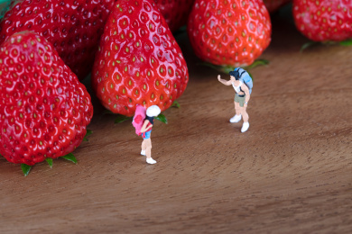 微缩世界里草莓旁边相遇的驴友