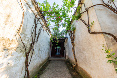 中国江苏苏州园林艺圃风光