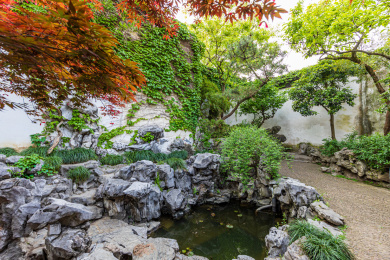 中国江苏苏州园林艺圃风光
