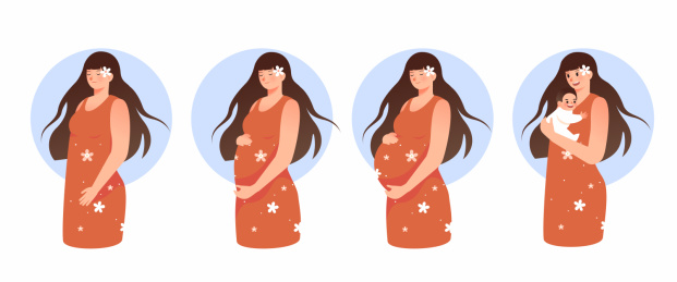 怀孕妈妈的整个过程插画