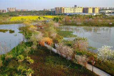 广州海珠国家湿地公园航拍