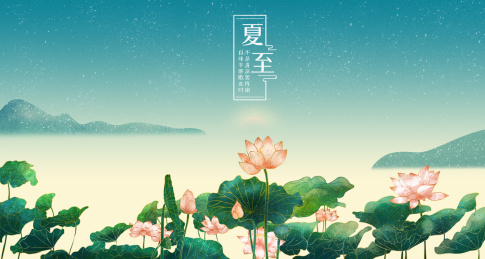 二十四节气之夏至荷花