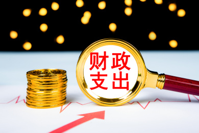 财政支出概念