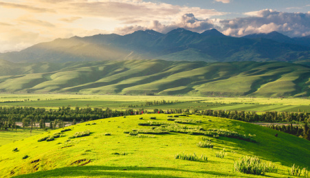 中国新疆那拉提草原天山牧场