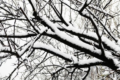 山东枣庄山亭区山乡雪景