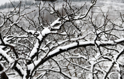 山东枣庄山亭区山乡雪景