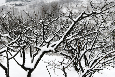 山东枣庄山亭区山乡雪景