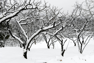 山东枣庄山亭区山乡雪景