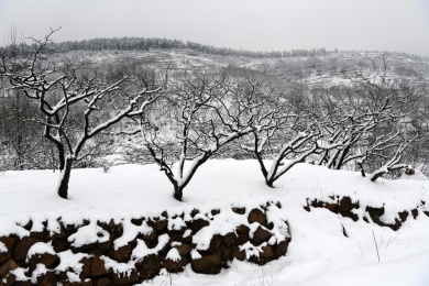 山东枣庄山亭区山乡雪景