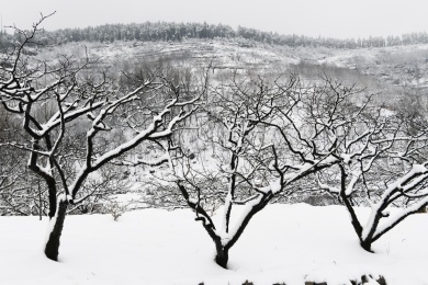 山东枣庄山亭区山乡雪景