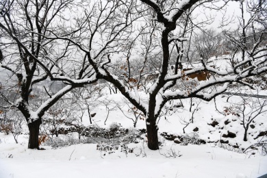 山东枣庄山亭区山乡雪景