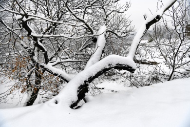 山东枣庄山亭区山乡雪景