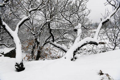 山东枣庄山亭区山乡雪景