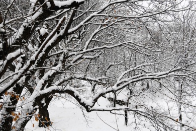 山东枣庄山亭区山乡雪景