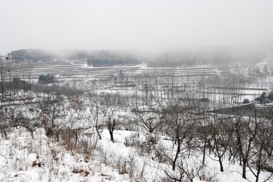 山东枣庄山亭区山乡雪景