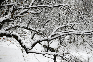山东枣庄山亭区山乡雪景