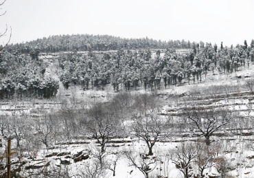 山东枣庄山亭区山乡雪景