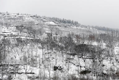 山东枣庄山亭区山乡雪景