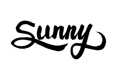 手写汉字书法字体sunny
