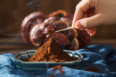 中国古典中医草药灵芝和灵芝孢子粉