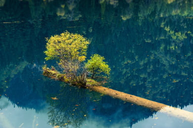 四川阿坝九寨沟风景