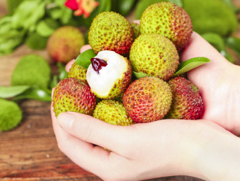 手上捧着新鲜福建妃子笑